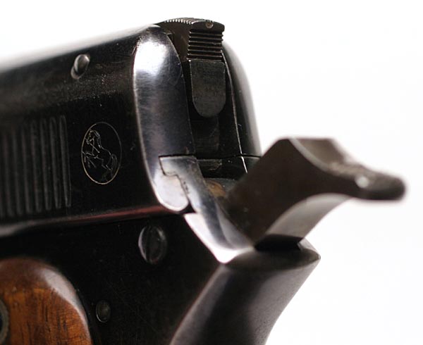 Model 1900 Sight Safety in Safe position